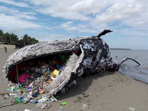 A Giant Beached Whale Illustrates the Plastic Pollution Problem — Plastic Pollution Coalition