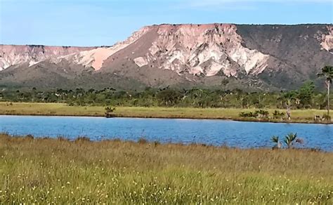 Governo Do Tocantins Promove A Semana Do Meio Ambiente Foco Na