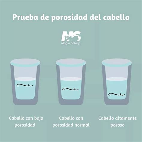 Si Desconoces De Que Se Trata Te Explicare La Porosidad Del Cabello Es