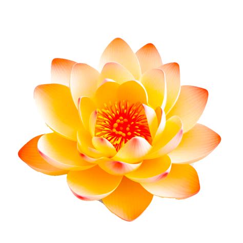 lotus flower tattoo template 2