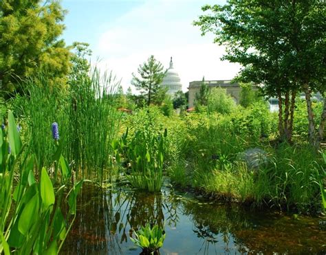 U.S. Botanic Garden - Washington DC