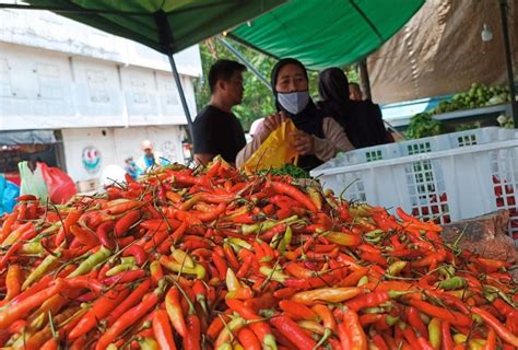 Harga Cabai Pedas Lagi Melambung Tinggi Tembus Rp 110 Ribu Per Kg