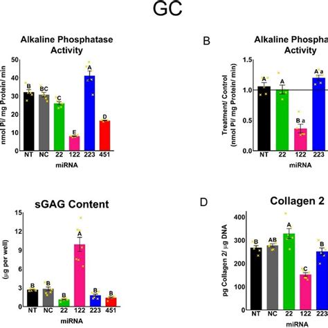 Alkaline Phosphatase Activity And ECM Composition Of GC Cells A B