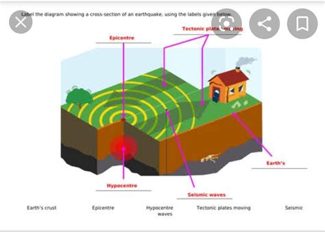 Earthquake Cross Section Label Brainly Ph