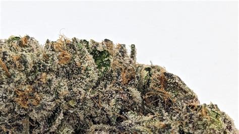 Leafly Buzz: 13 top cannabis strains of March | Leafly