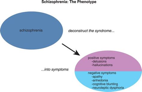 Psychosis and schizophrenia | Basicmedical Key