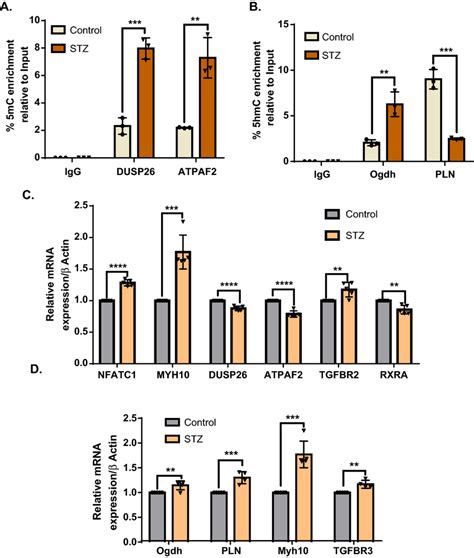 Validation Of Medip Hmedip Seq Data And Functional Relevance Of