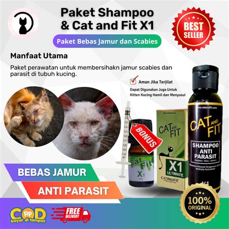 Jual PROMO PAKET Obat Jamur Kucing Dan Shampoo Kutu Kucing CAT AND FIT