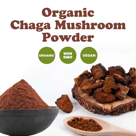 Organic Chaga Mushroom Powder Buy In Bulk From Food To Live