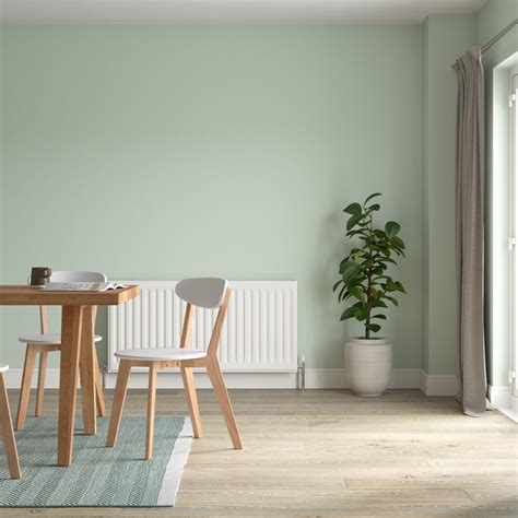 Dulux Easycare Washable & Tough Matt Emulsion Paint Willow Tree - 5L | Homebase