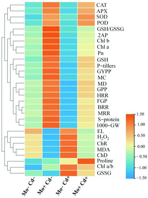 Heat Map Reveals A Hierarchical Clustering Analysis Between Different Download Scientific