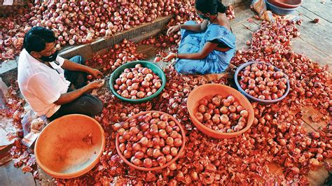 India Allows Exports Of 10 000 Tonnes Onion To UAE Today News