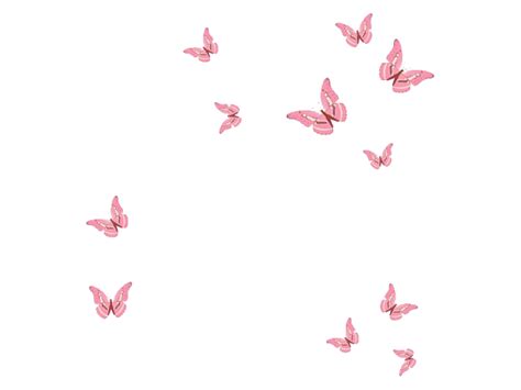 wallpaper butterfly simple 2