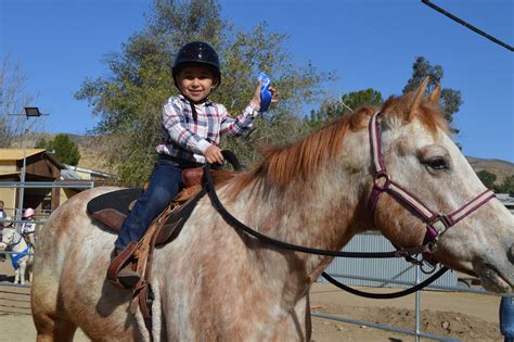 Western Horse Riding Lessons