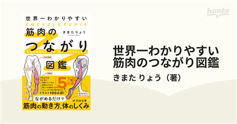 世界一わかりやすい筋肉のつながり図鑑の通販きまた りょう 紙の本：honto本の通販ストア