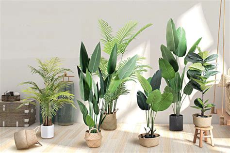 Where can we use artificial plants? - Care Gun