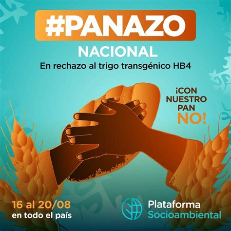 Panazo Nacional En Rechazo Al Trigo Transgénico Hb4 Biodiversidad En