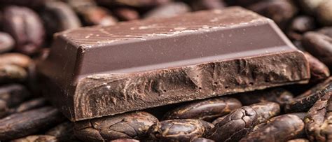 Conoce Los Beneficios De Comer Chocolate Leyendo Noticias