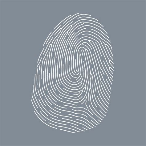 Fingerprint Thin Line Icon Scan And Thumbprint Id Sign Vector