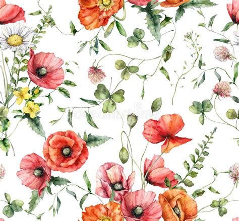 Watercolor Meadow Flowers Seamless Pattern Of Poppy Celandine Clover