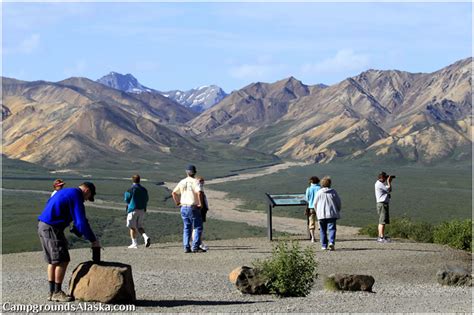 Denali Park Road Lottery 2017 - Alaska Campgrounds