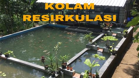 REVIEW KOLAM RAS BUDIDAYA IKAN NILA HASIL MEMUASKAN YouTube