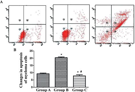 Figure 1 From Effects Of LncRNA HOTAIR On Proliferation And Apoptosis