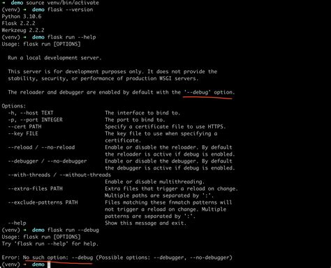 CLI Flask Run Describes That Uses Debug To Enable Debugger And
