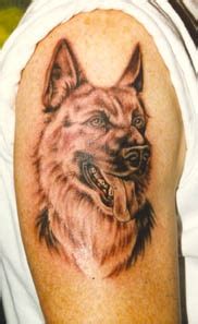 German Shepherd Tattoo On Shoulder Tattooimages Biz