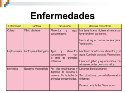 CIENCIAS NATURALES ESTUDIO DE LAS BACTERIAS Ppt Descarga Gratuita