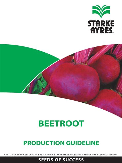 Beetroot Production Guideline 2014 Pdf Beetroot Sowing