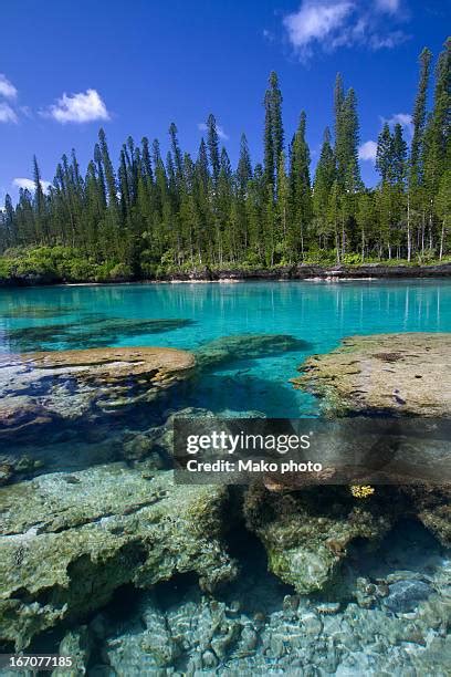 181 New Caledonia Barrier Reef Stock Photos, High-Res Pictures, and ...