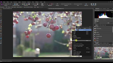 Tuto Affinity Photo Des Images Plus Belles Avec Le Mode Incrustation