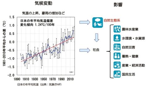 気候変動の影響の評価と影響機構の解明（2022年度 41巻5号）｜環境研ニュース 41巻｜国立環境研究所