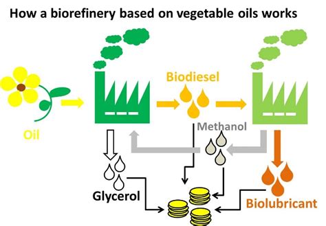 To Vegetable Oil Biofuel Process