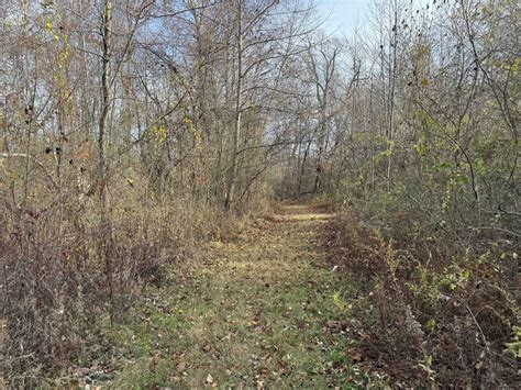 Digital archives will preserve every entry in southcoast obituaries 13