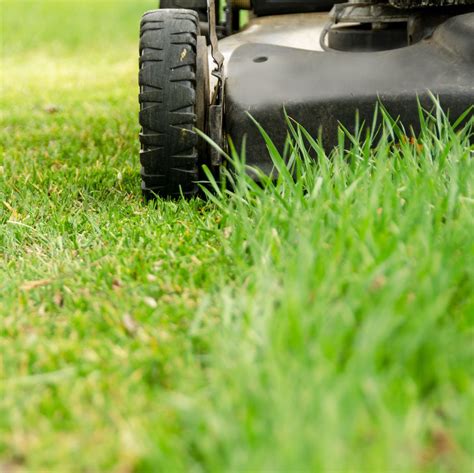 When To Cut New Grass For The First Time Essential Tips For Beginners Outside Gear