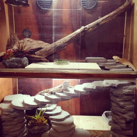 My Bearded Dragon Cage Made From A Broken Dresser With Custom