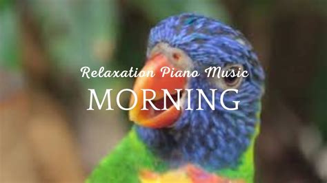 Morning Music ☀️ Music To Focus On Studying ☀️peaceful Piano Sound