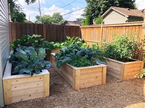 Inexpensive Raised Garden Bed Ideas You Can Build At Home