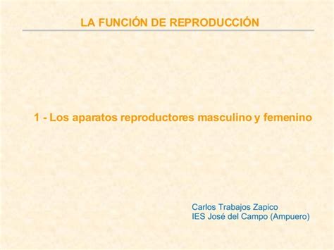 Aparatos Reproductores PPT