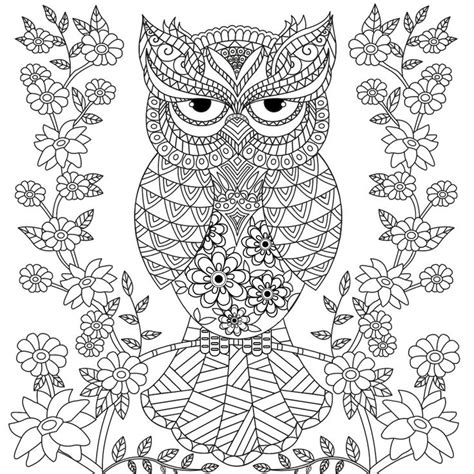 Coloring Pages Adults Owls Coloring Pages