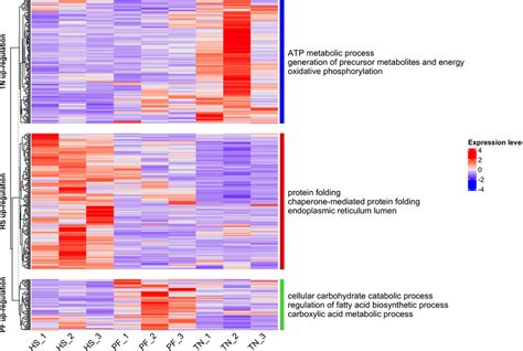 The Heatmap Of Deg Expression Levels The X Axis Shows The Samples The