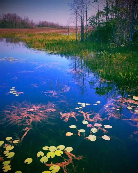 2016 Grassy Waters Preserve Nature Photography Contest