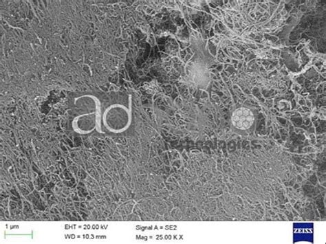 Multi Walled Carbon Nanotube Dispersion In Epoxy Based Resins At Rs 700