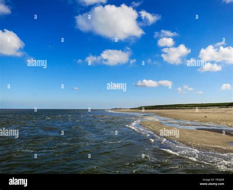 beach on Texel in late summer, Netherlands, Texel Stock Photo - Alamy