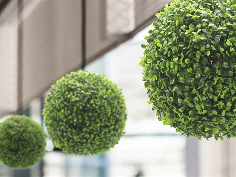 Decorative Artificial Topiary Balls Edenvert