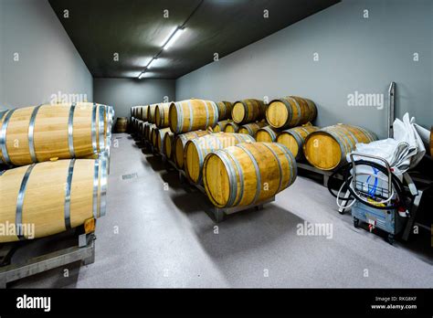 Wooden Wine Barrels Stacked In Modern Winery Cellar In Spain Modern