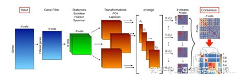 单细胞转录组 聚类分析中的机器学习与统计方法综述二 知乎