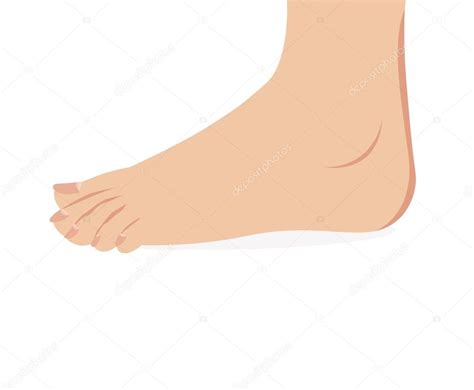 Vector Of Female Foot Standing Human Foot Stock Vector Nipitphand